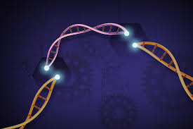 Καινούργια νομοθεσία στην Κίνα για το CRISPR -bIoethics -education = genetics