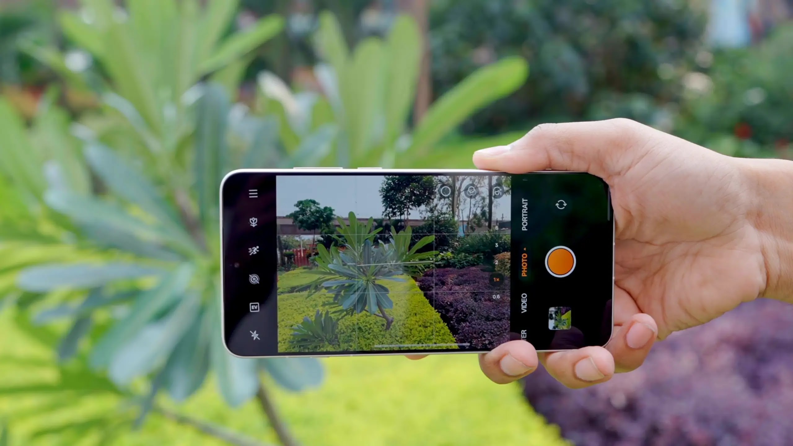 Sample daylight photo taken from Xiaomi 14 Ultra showing color accuracy