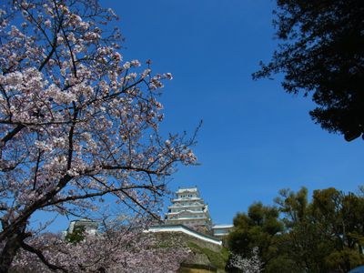 20160402_105402