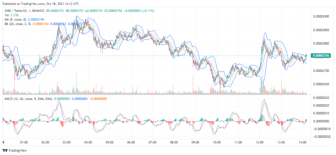 Image of SHIBA INU Price Chart US Dollar (SHIB/USD)