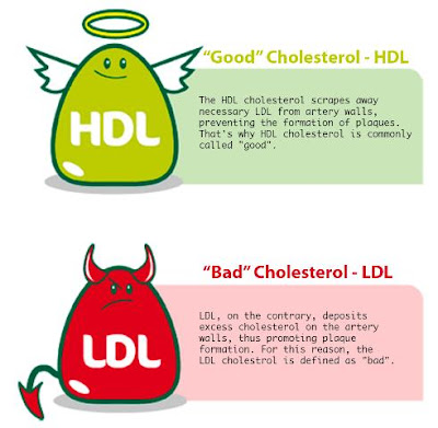 How to increase good cholesterol