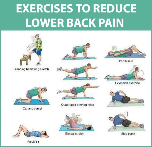 Exercise-to-lower-back-pain