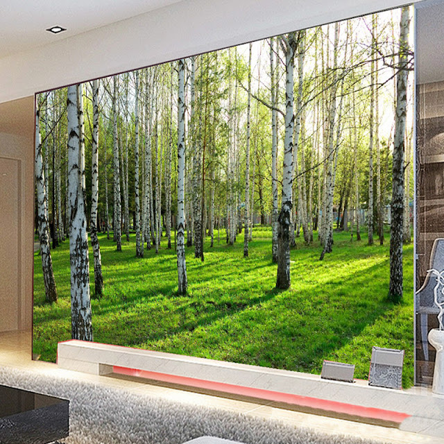 Nature Wall Murals Forest Birch Tree 3d Photo Wallpaper Landscape