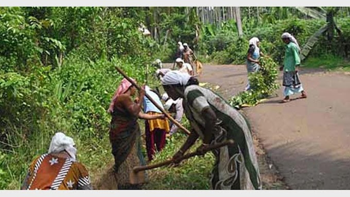                           ಉದ್ಯೋಗ ಖಾತ್ರಿ ಕೂಲಿ ಹೆಚ್ಚಳ: ಕೇರಳಕ್ಕೆ 195 ಕೋಟಿಗೂ ಅಧಿಕ ಮೊತ್ತ