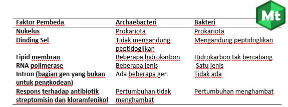 Pengertian Archaebacteria dan Eubacteria (Bakteri)| Ciri-ciri dan jenis-jenis