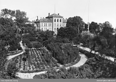 Rotvold asyl Trondheim