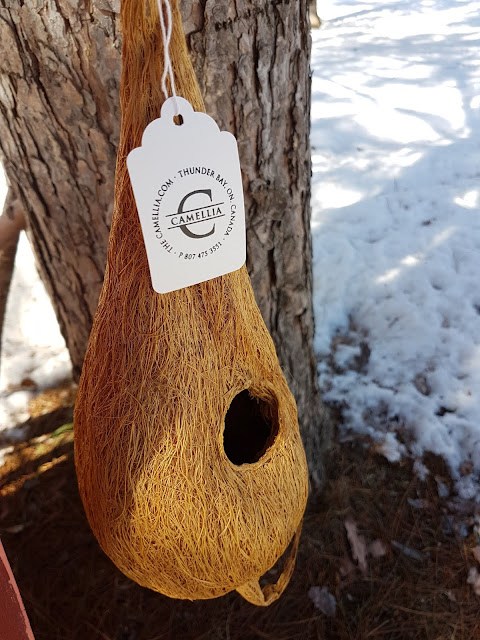 coir birdhouses 