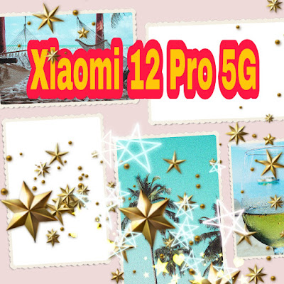 Xiaomi 12 Pro 5G: a new premium smartphone from Xiaomi launched promotion