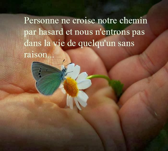 Poeme Amour Poesie Et Citations 21 Citation Sur Le Hasard Des Rencontres