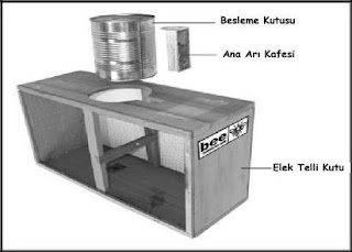 Paket Arı Kutusunun Bölümleri