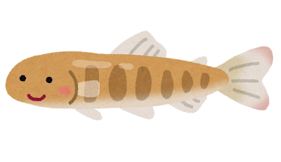 鮭の稚魚のイラスト