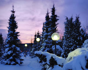 nature-winter-snow-night-lights-hd-image