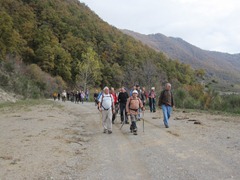 IMG_4483