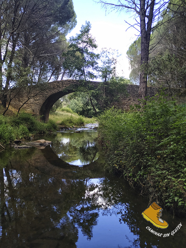 PUENTE MOSQUEA O NOSQUEA SOBRE EL RIO TIETAR