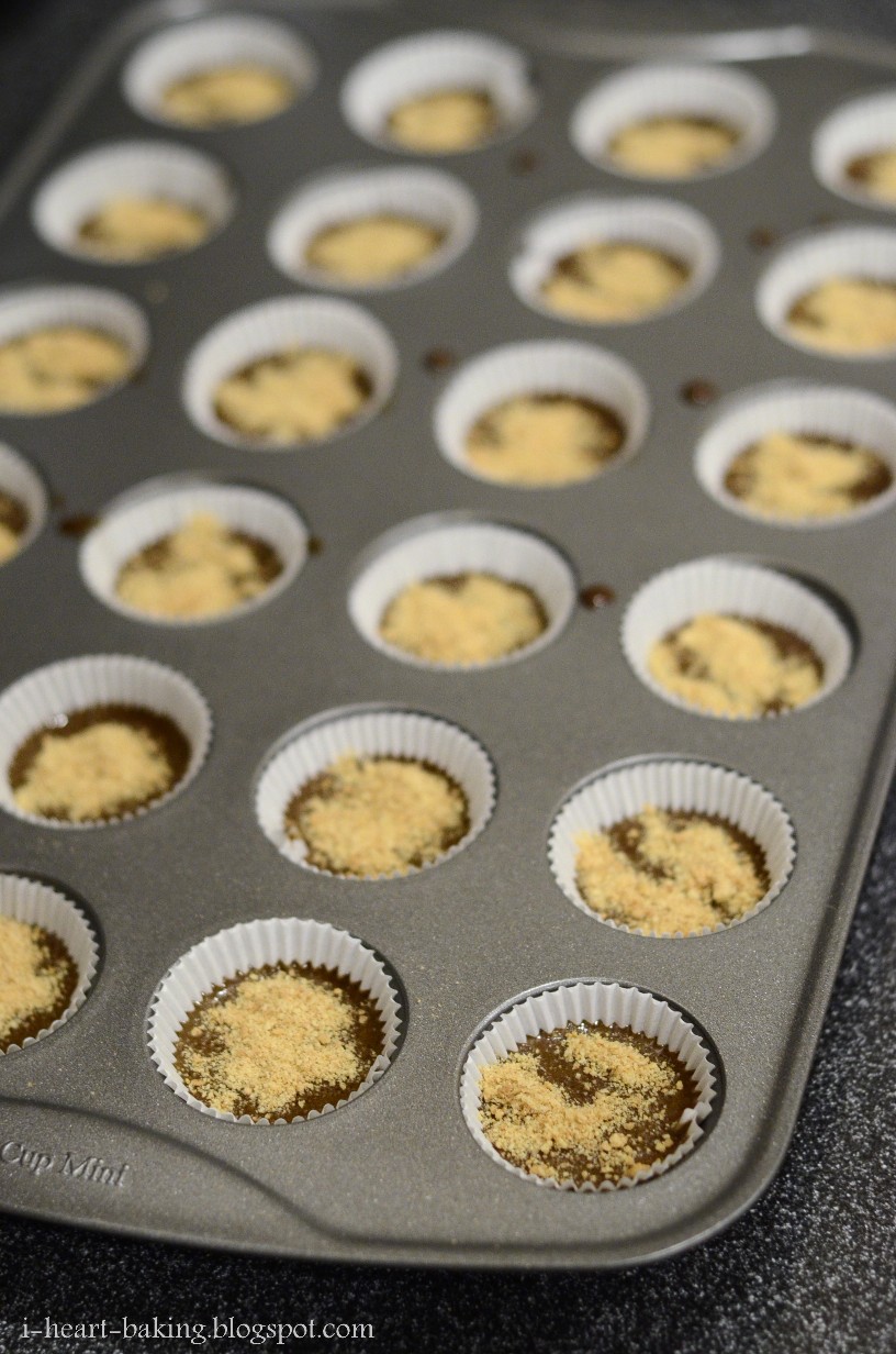Baking Time Mini Cupcakes