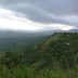 Sri Lanka lowland rain forests
