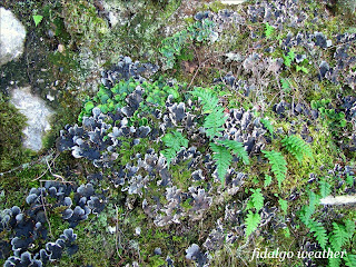 Deception Pass State Park