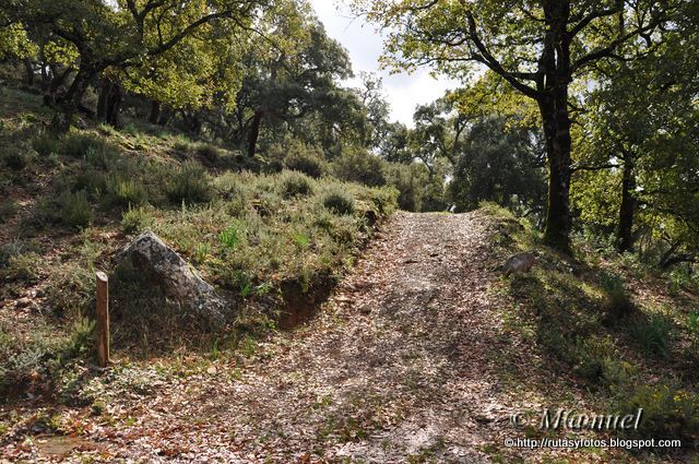 Garganta de la Pulga (nuevo trazado)