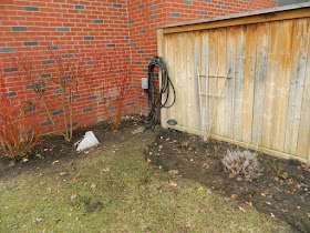 Leaside Backyard  Spring Cleanup After by Paul Jung Gardening Services--a Toronto Organic Gardening Company