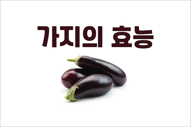 가지의-효능