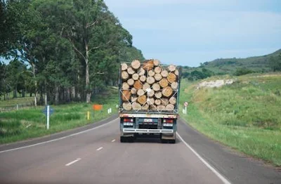 RUTA URUGUAY CAMION PAPELERAS