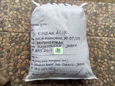 Benih padi yang dibeli    Oo Majalengka, Jabar.     (Sesudah di Packing).