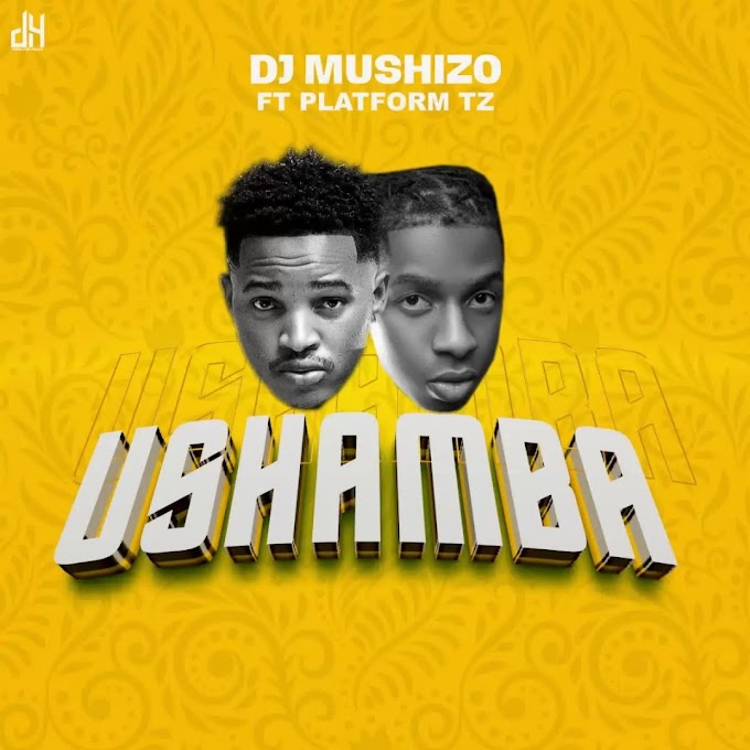 Download Audio : Dj Mushizo Ft Platform - Ushamba Mp3