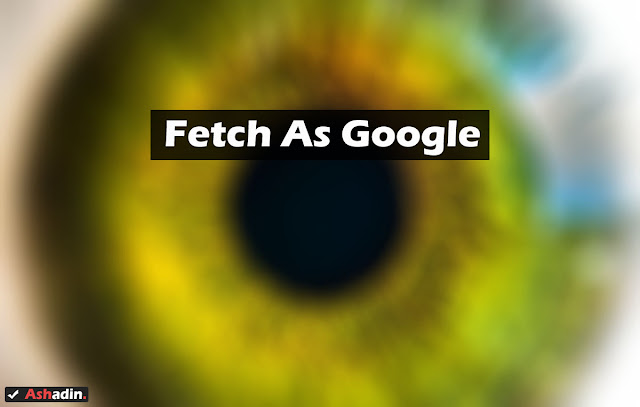 Keuntungan menggunakan fitur Fetch as Google untuk mempercepat Index dan Crawl Blog