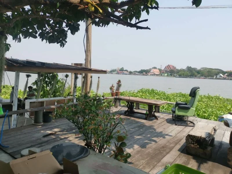 บ้านริมแม่น้ำเจ้าพระยา สามโคก ปทุมธานี เทอเรสริมน้ำ