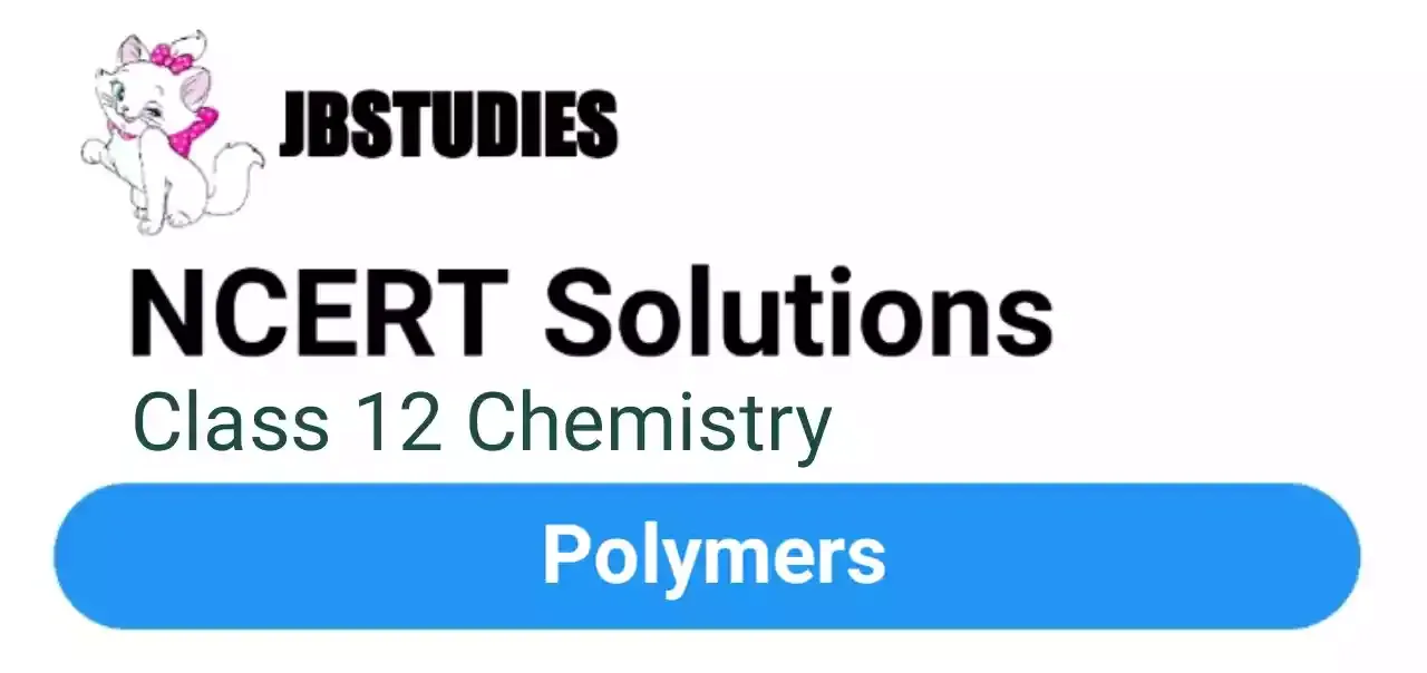 Solutions Class 12 Chemistry Chapter-15 (Polymers)