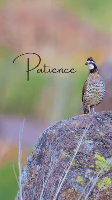 Living an authentic life with patience phone screen.