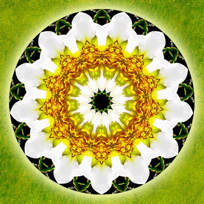 sweet spring joy mandala