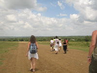 Masai mara safari