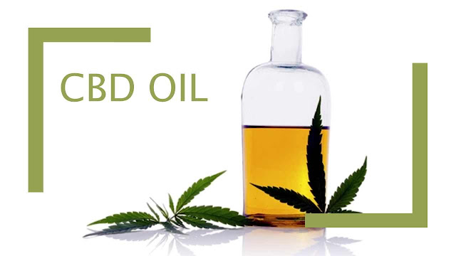 cbd hemp cannabis oil for sale in the UK
