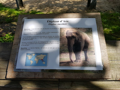 panneau-de-presentation-elephant-d-asie-zoo-de-maubeuge