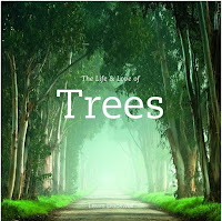 Image: The Life and Love of Trees | Hardcover: 200 pages | by Lewis Blackwell (Author). Publisher: PQ Blackwell / Chronicle Books; 1st Edition edition (October 14, 2009)