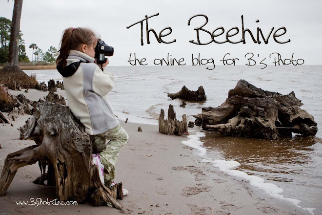 The Beehive