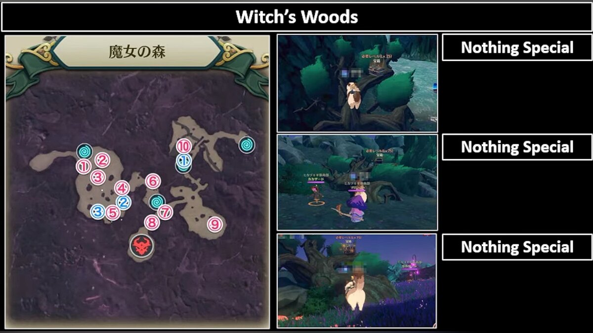 All chests in the Witch's Woods region - level 75