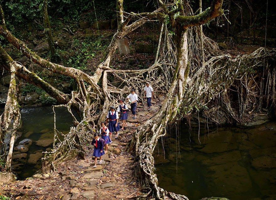 Children who have to travel a long way in order to get to school