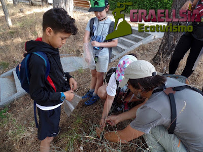 Campamento de Verano en la Naturaleza