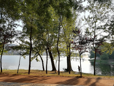 Parco sul lago, Tirana