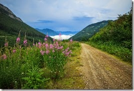 IMG_8807
