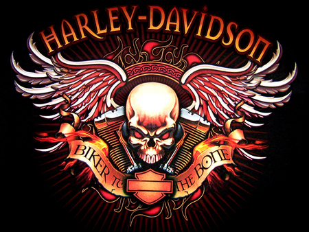 Best Harley  Davidson  Logo  Free Download  Motor Collections