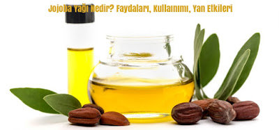 Jojoba Yağı Nedir? Faydaları, Kullaınımı, Yan Etkileri