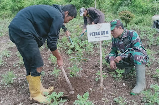 Sektor 23 Pembibitan Satgas Citarum Harum Sub 3 Citawa Melaksanakan Penanaman Lahan Kritis