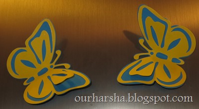 colorful butterflies (3)