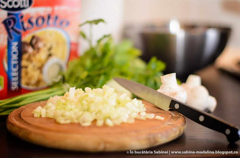 RISOTTO CU CIUPERCI