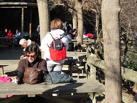 Picnic area in Sant Miquel del Fai