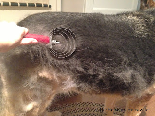 dog shedding, german shepherd