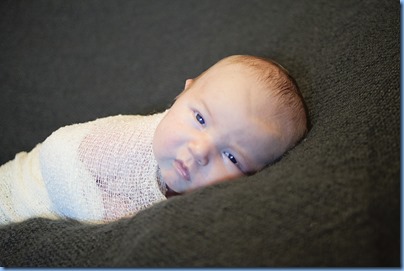Blade_Newborn_0011#CB90